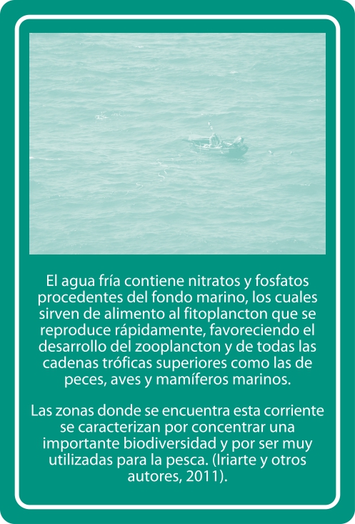 Portada Reverso